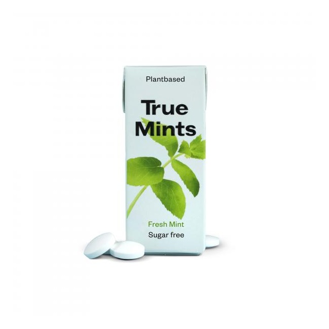 Peppermint Pastilles – 13 g