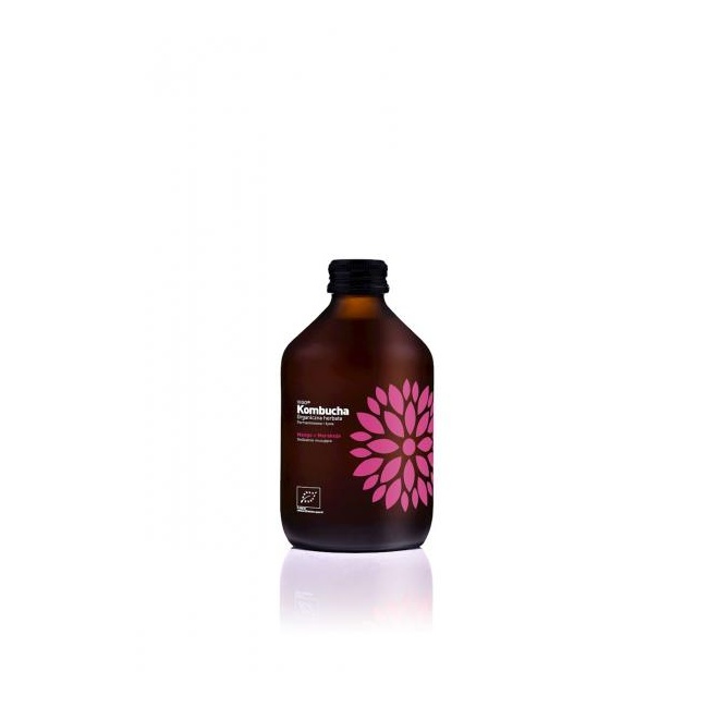 Kombucha mango ja passioniga