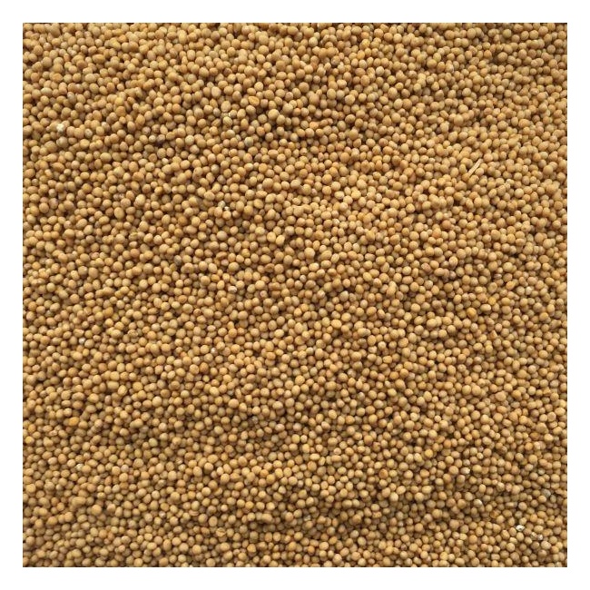 Sinepiseemned, mahe, 100g