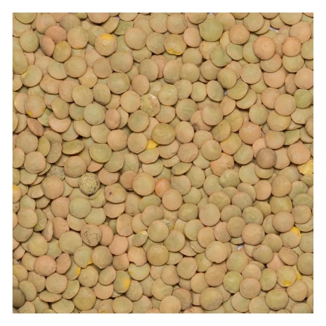 Läätsed rohelised, mahe, 500g