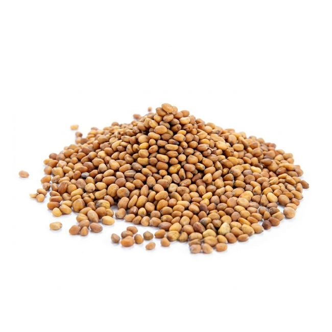 Redise võrsete seemned, mahe, 100g