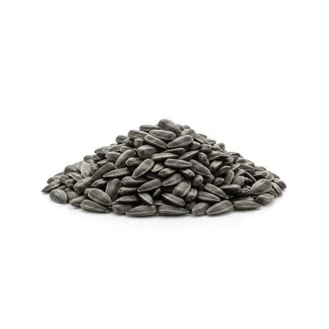 Päevalille võrsete seemned, mahe, 100g