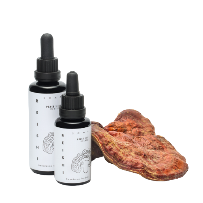 Reishi seenetinktuur, mahe, 30 ml