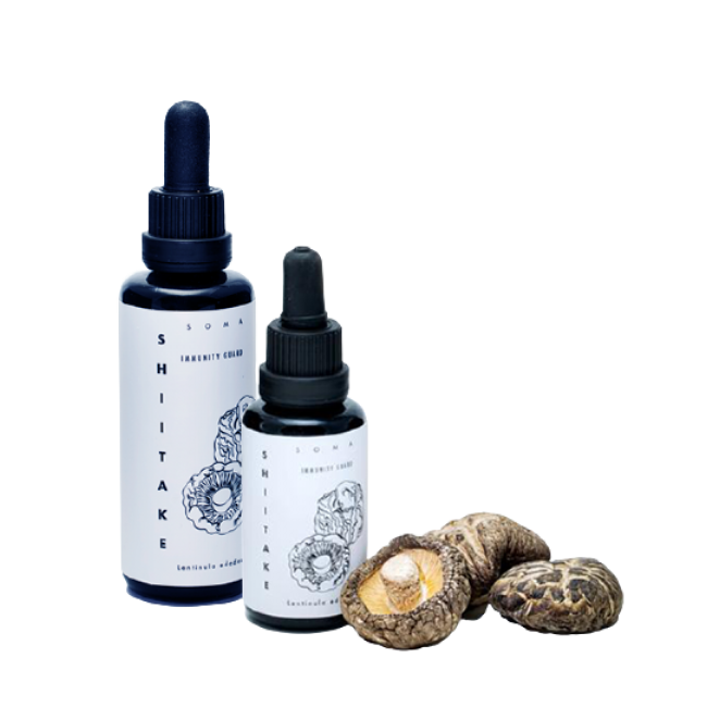 Shiitake seenetinktuur, mahe, 30ml