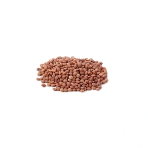 Organic Brown Lentils – 500 g