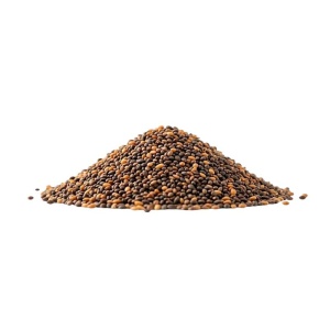 Rukola võrsete seemned, mahe, 100g