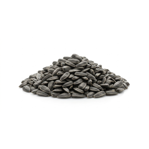 Päevalille võrsete seemned, mahe, 100g