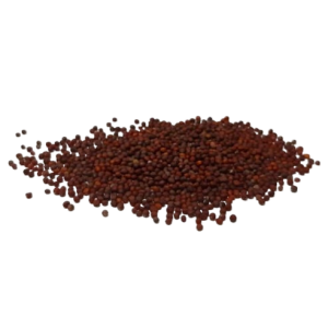 Brokoli seemned, mahe, 100g