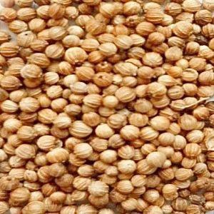 Koriander tera, mahe, 100g