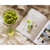 Pastillid piparmündi, 13g