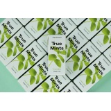 Pastillid piparmündi, 13g