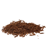 Vürtsköömne seemned