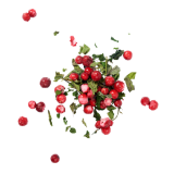 Tee "Raudne Vägi", mahe, 50g